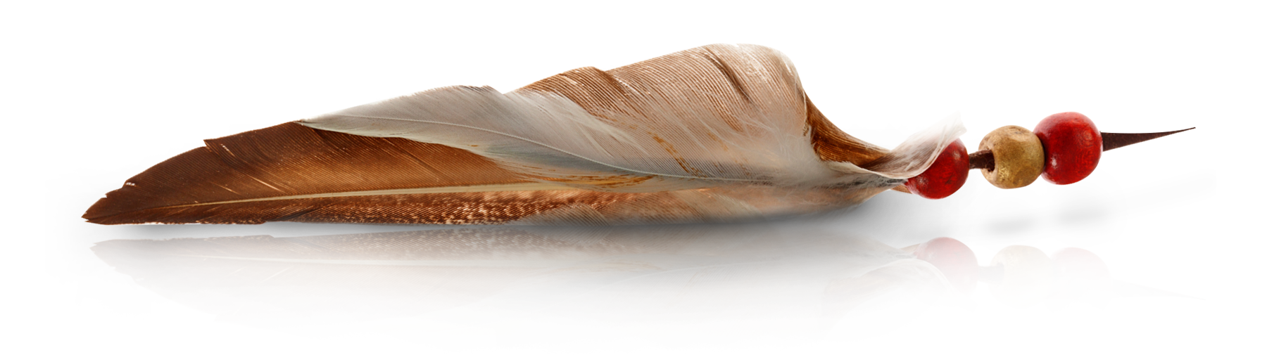 feather