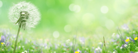 blog-march-19