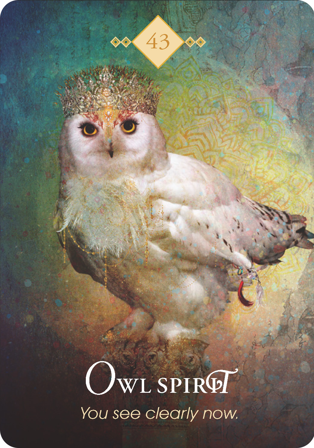 Owl Spirit - Colette Baron-Reid | Oracle Cards | Founder of Oracle School -  Colette Baron-Reid | Oracle Cards | Founder of Oracle School