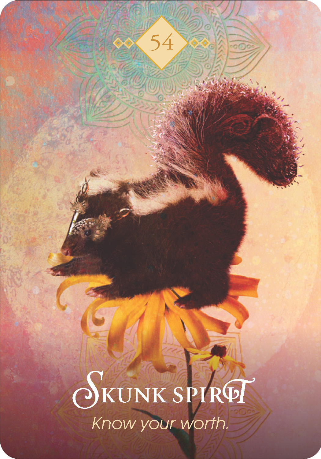 Skunk Spirit - Colette Baron-Reid | Oracle Cards | Founder of Oracle School - Colette Baron-Reid | Oracle Cards | Founder of Oracle School Skunk Spirit - Colette Baron-Reid | Oracle Cards | Founder of Oracle School - Colette Baron-Reid | Oracle Cards | Founder of Oracle School
