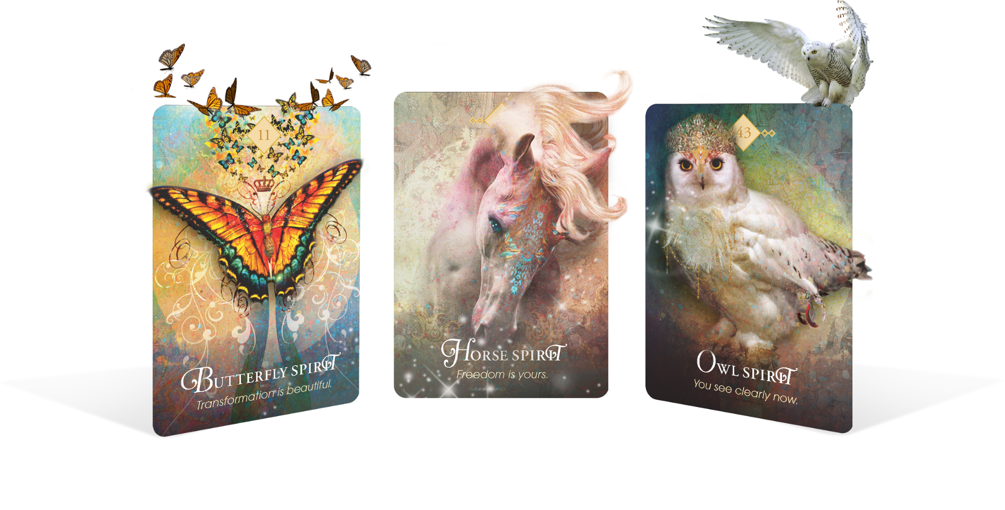 All Oracle Cards