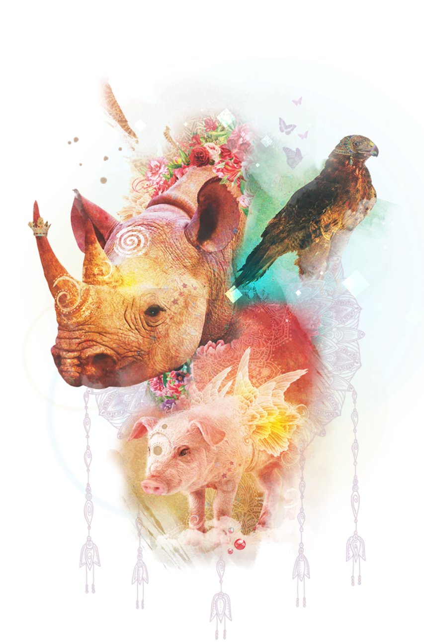 Spirit Animal - Colette Baron-Reid | Oracle Cards | Founder of Oracle School Spirit Animal - Colette Baron-Reid | Oracle Cards | Founder of Oracle School