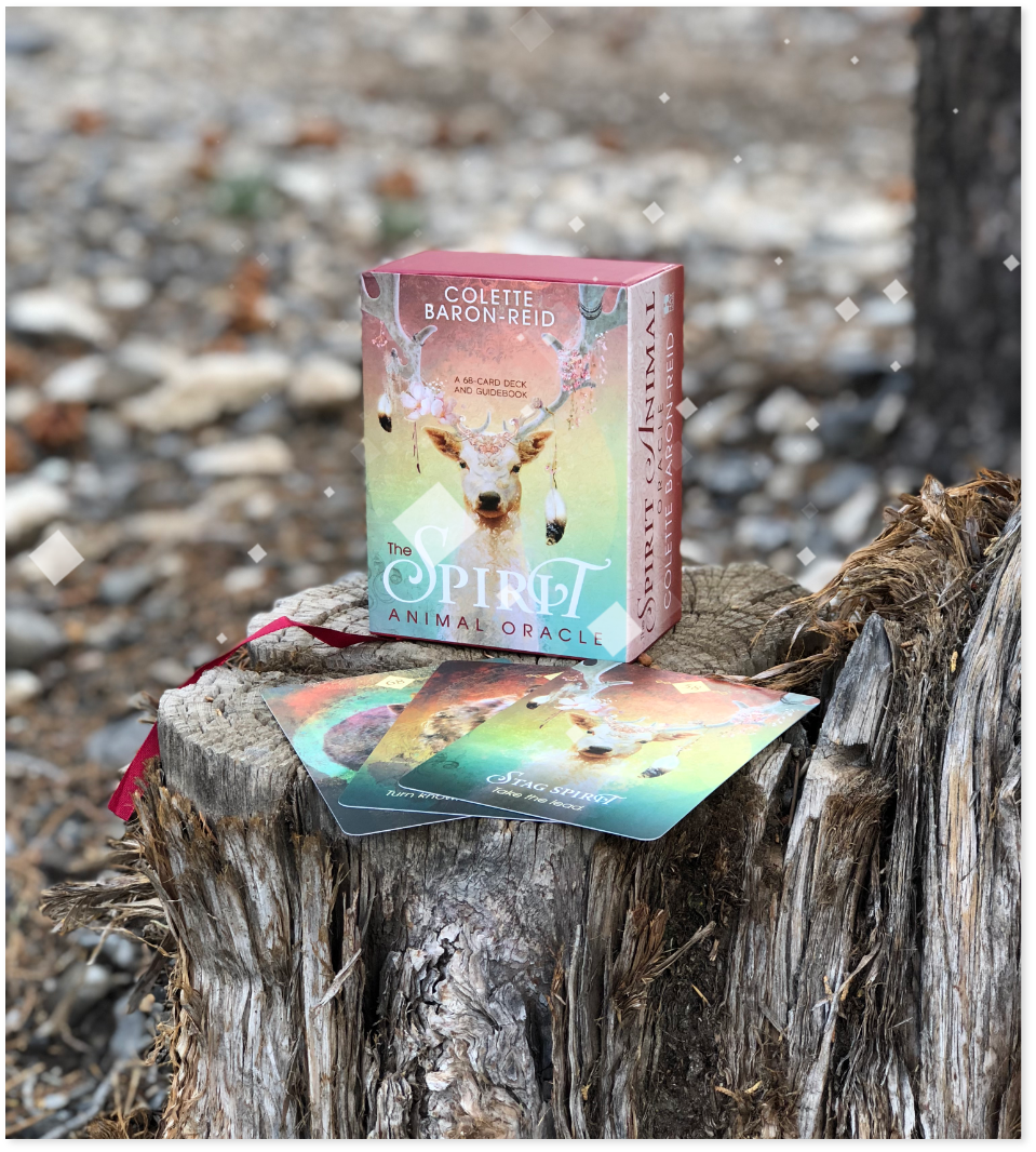 The Spirit Animal Oracle A 68-Card Deck and  by Colette Baron-Reid Fre 