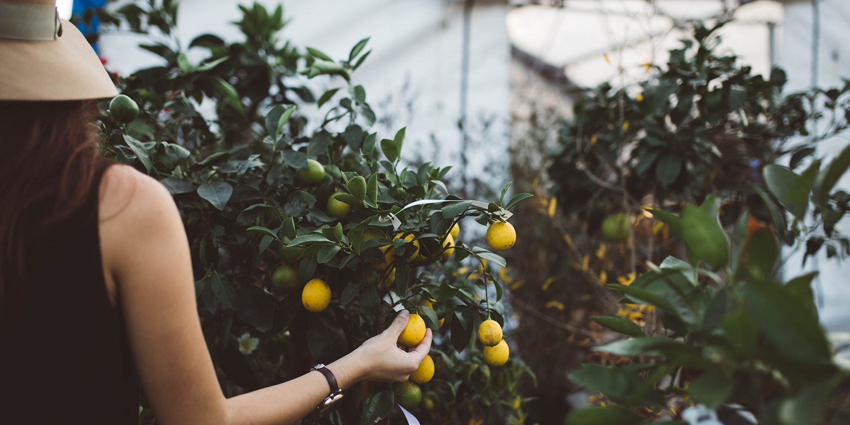 8-ways-to-create-an-abundant-mindset-insights-1