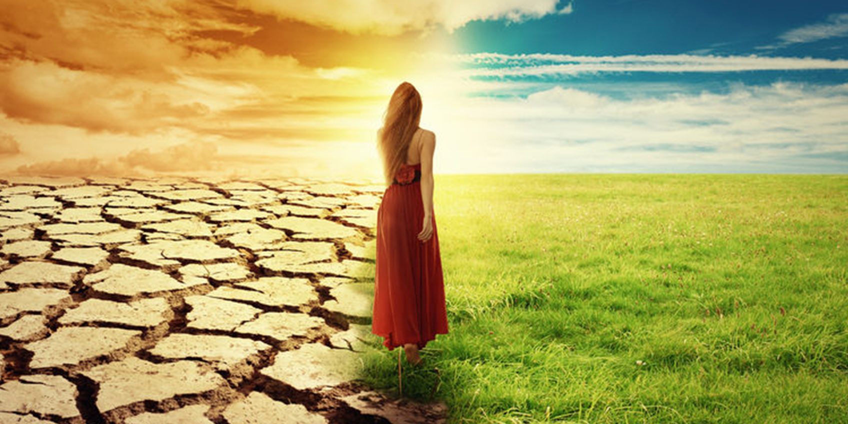 the-art-of-changing-perspective