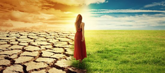 the-art-of-changing-perspective