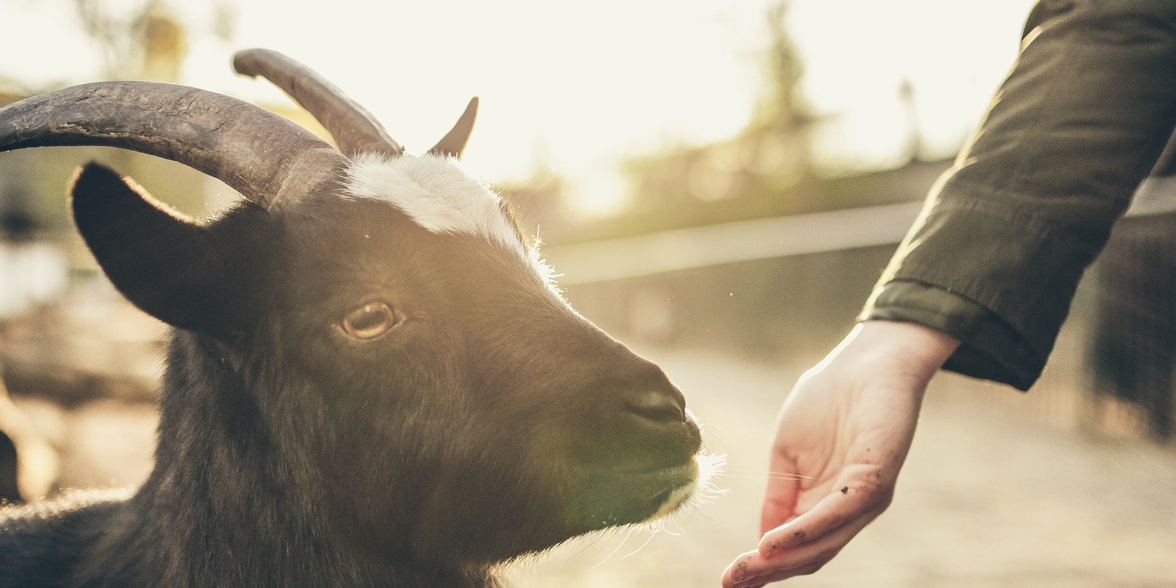 the-spirit-in-our-stories_banner