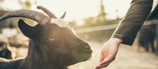 the-spirit-in-our-stories_banner