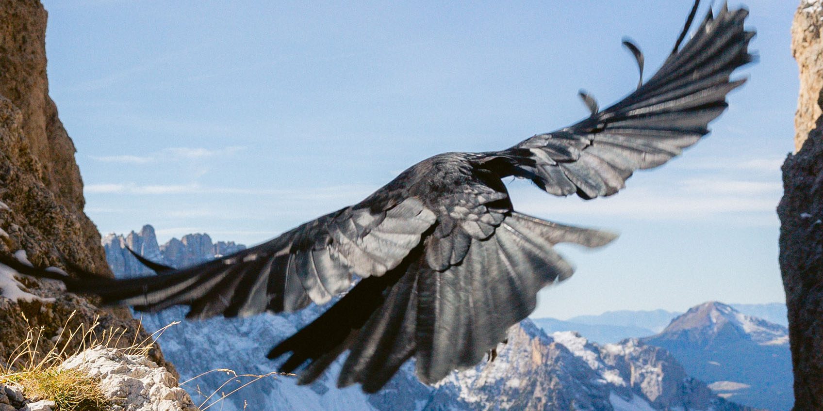 be-curious-and-find-new-life_banner