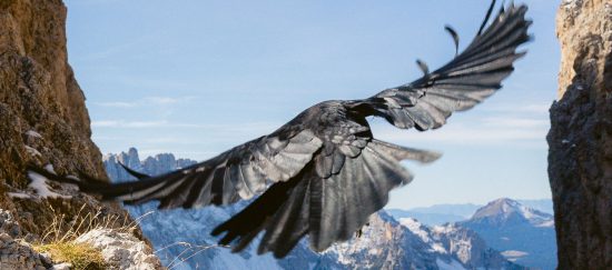 be-curious-and-find-new-life_banner