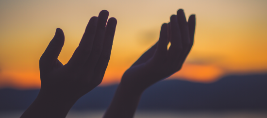 6-steps-to-find-hope-in-a-hairball_blog-banner-1