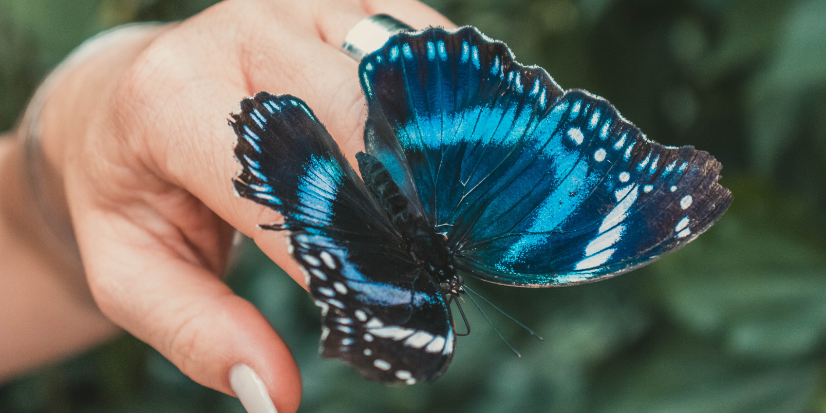 embracing-change-with-intention_blog-banner