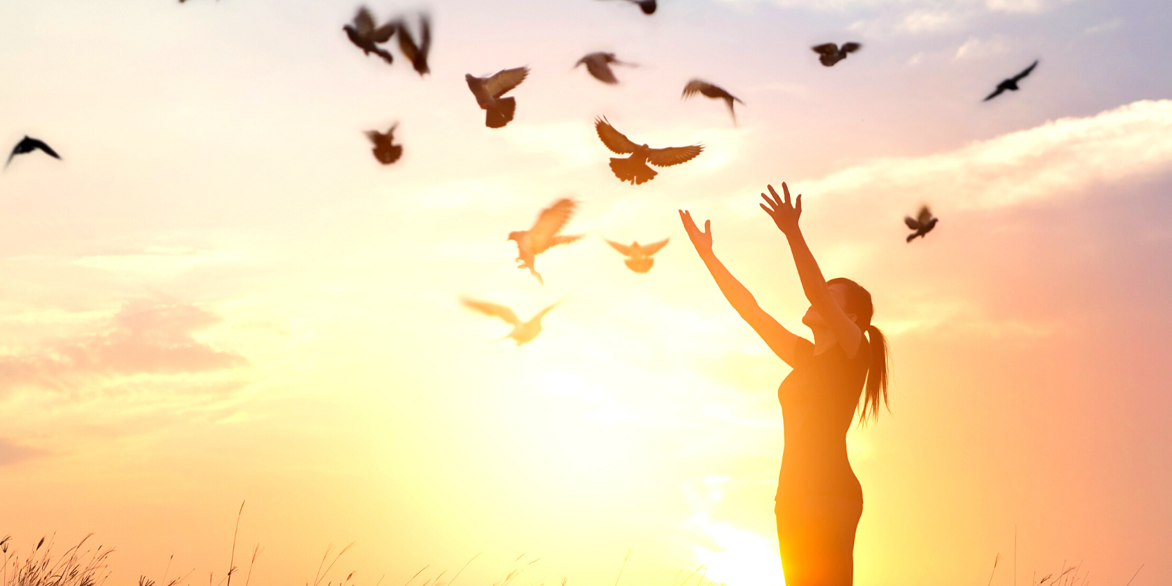 how-i-can-forgive-others_banner