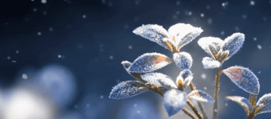 blog-banner-2