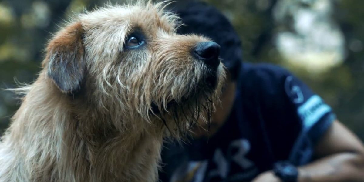 Arthur-the-King-movie-2024