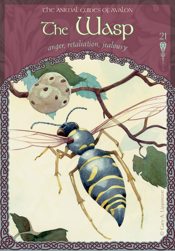 The Wasp - Colette Baron-Reid | Oracle Cards | Founder of Oracle School - Colette Baron-Reid | Oracle Cards | Founder of Oracle School The Wasp - Colette Baron-Reid | Oracle Cards | Founder of Oracle School - Colette Baron-Reid | Oracle Cards | Founder of Oracle School